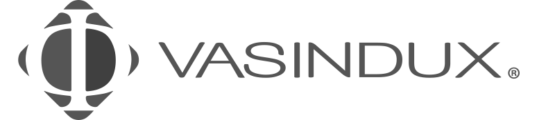 Vasindux LLC