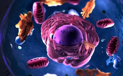 Unlock the Power of PEMF Therapy: How It Helps Your Cells Thrive for Better Health