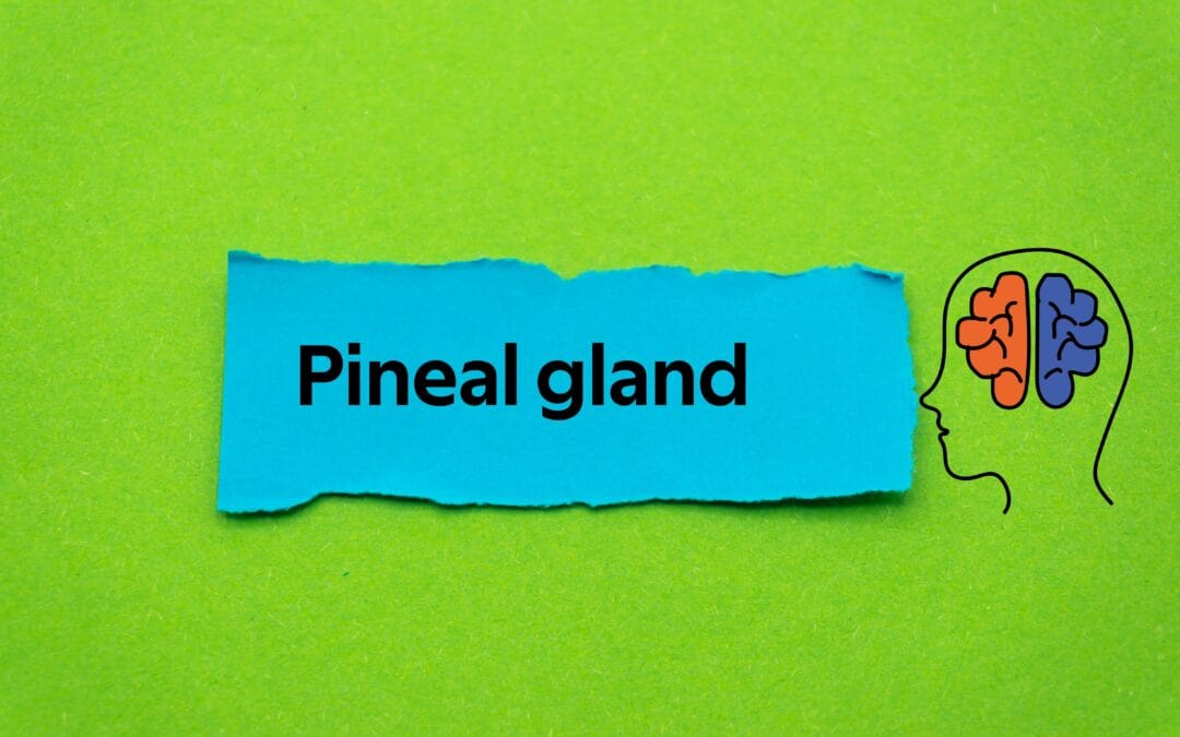 PEMF Therapy for the Pineal Gland: A Natural Approach to Balance and Healing