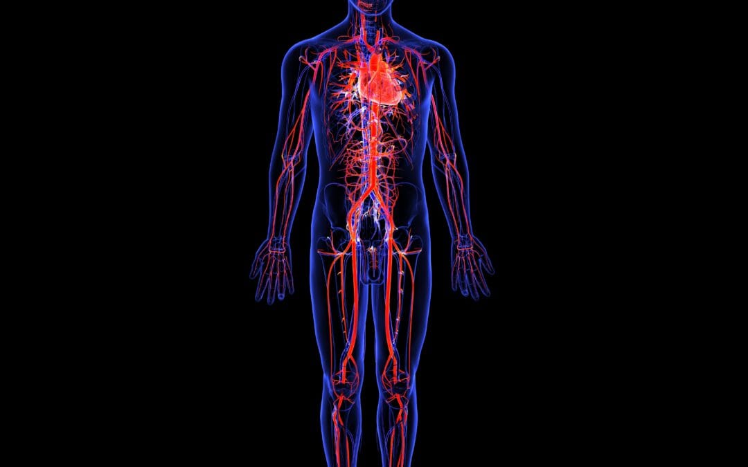 PEMF Therapy Can Support Wound Healing. Is it right for you?