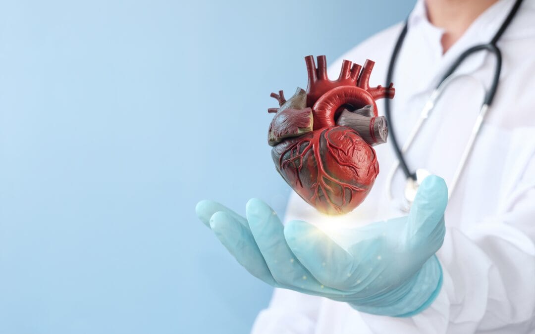 PEMF Therapy and Atherosclerosis: Exploring the Benefits for Cardiovascular Health