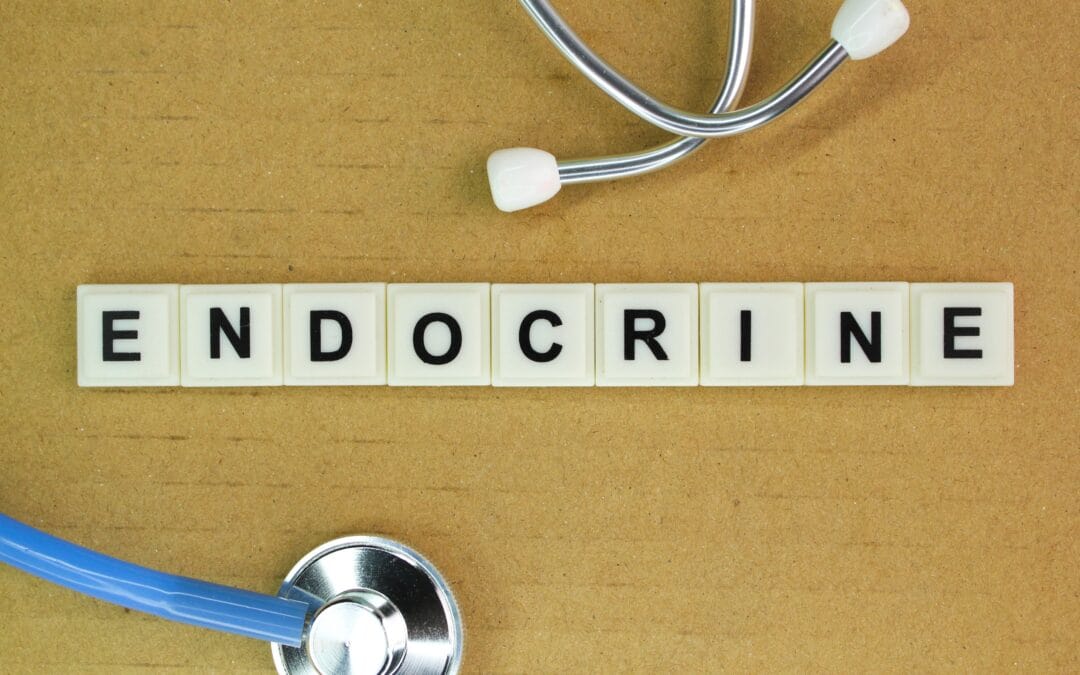 Balancing the Endocrine System with PEMF Therapy