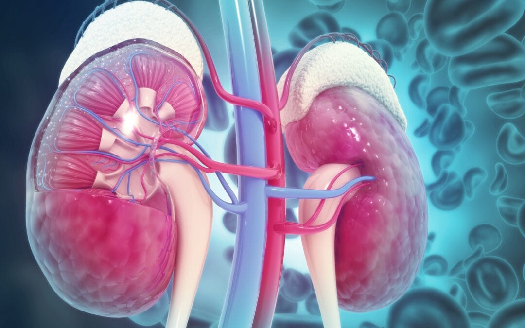 How PEMF Therapy May Help with Adrenal Gland Disorders