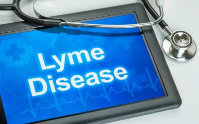 Understanding Lyme Disease: Symptoms, Risks, and Innovative Therapeutic Solutions like PEMF Therapy