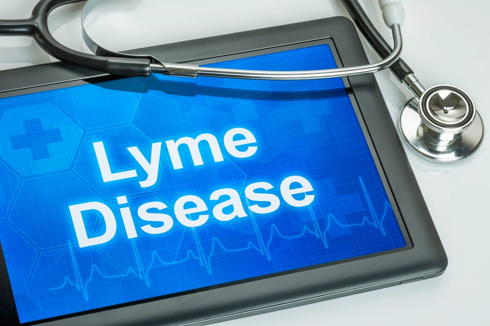 Understanding Lyme Disease: Symptoms, Risks, and Innovative Therapeutic Solutions like PEMF Therapy