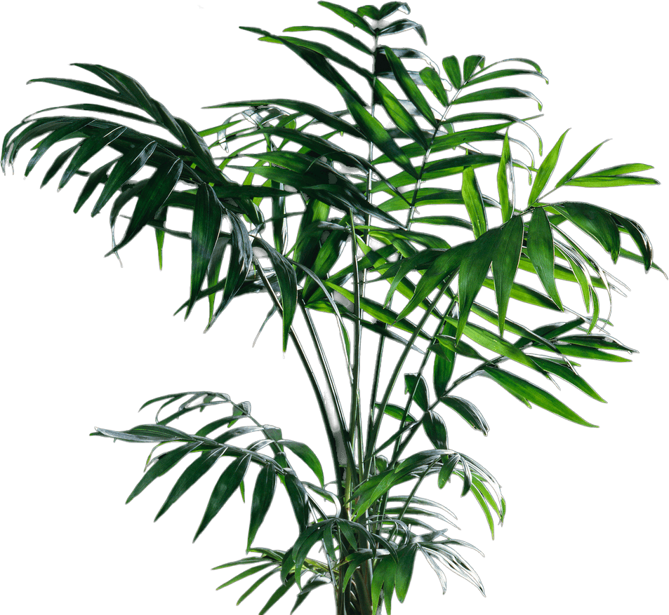 Potted-Plant-Indoor-Decor-4