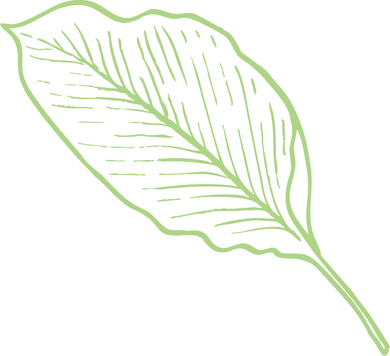 Tropical Leaf 3