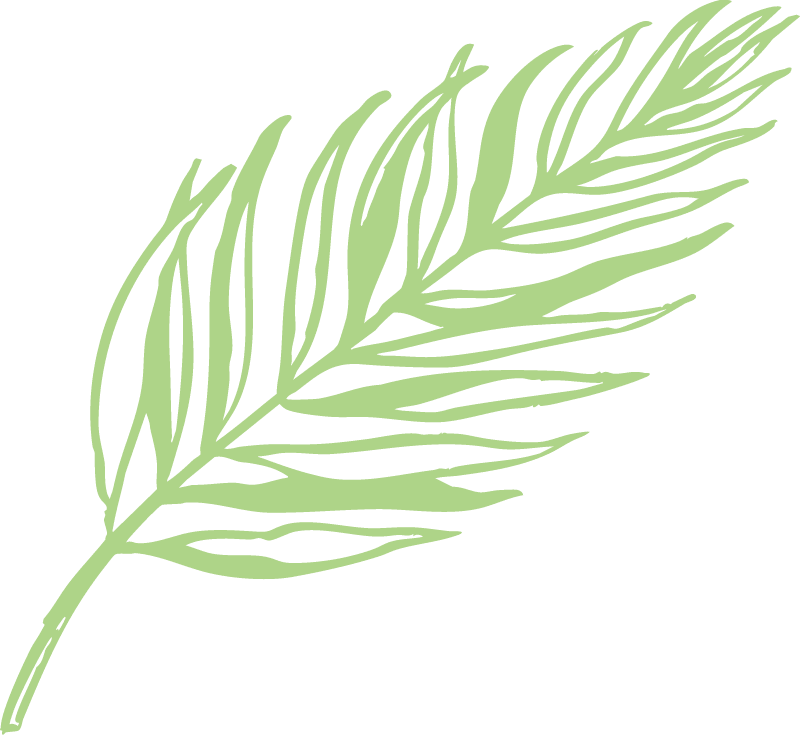 Tropical Leaf